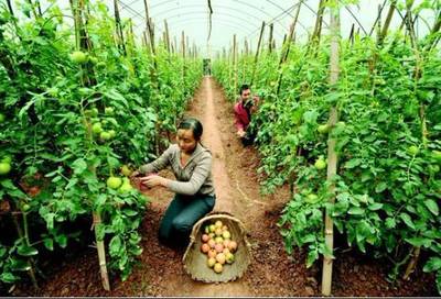 創意農業丨農產品銷售為何難？市場三大變革下的突圍之道