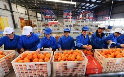 水產養殖賦能鄉村振興，湖北四企入選全國典型案例