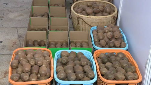 河源鄉(xiāng)村振興農(nóng)產(chǎn)品展銷會(huì)開幕 300多種特色農(nóng)產(chǎn)品，共繪鄉(xiāng)村新畫卷