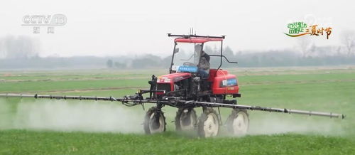 算力織網(wǎng)，智繪“三農(nóng)”新藍(lán)圖 科技賦能農(nóng)產(chǎn)品生產(chǎn)向優(yōu)、向綠、向新